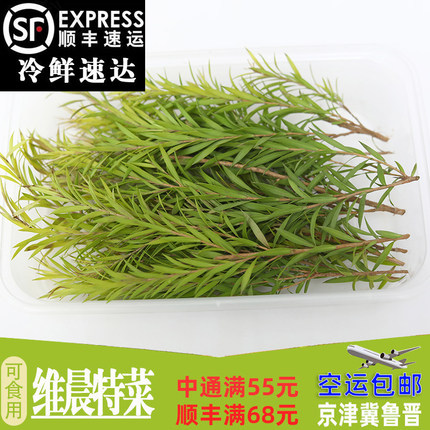 新鲜黄金香柳 西餐日料摆盘装饰15g