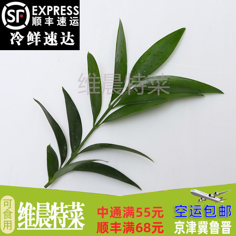 新鲜熊猫竹 酒店 日料西餐摆盘装饰15枝幸运星新鲜阔叶舞竹食用花