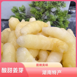 农家酸辣生姜芽辣椒酱嫩仔姜开胃下饭菜罐装剁椒芽子姜湖南特产