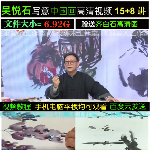 吴悦石花鸟国画写意绘画教程梅兰竹菊花卉水果禽鸟教程素材