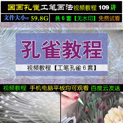 工笔孔雀国画6套109讲视频教程电子版花鸟技法临摹零基础自学素材