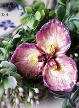 PPSOAP原创点心模具收纳食品级硅胶模 手工皂模 巧克力烘焙 FL084