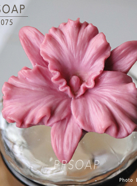 PPSOAP原创点心模具 食品级硅胶模 手工皂模 巧克力烘焙模 FL075