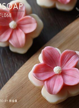 PPSOAP原创点心模具 食品级硅胶模 手工皂模 巧克力烘焙模  FL068