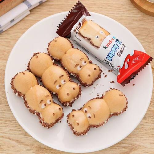 巧克力户外出游零食圣诞糖果