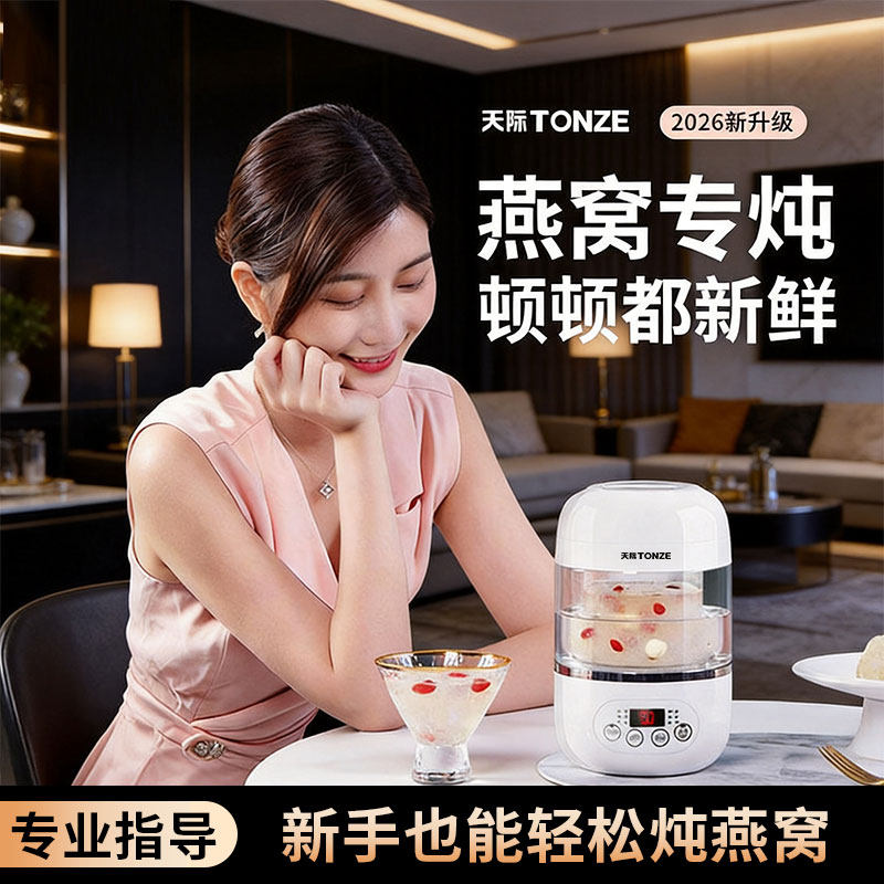 天际燕窝炖盅专用锅家用小电炖锅