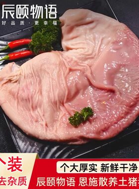 辰颐物语猪肚新鲜半成品冷冻整个2只免洗去油猪肚子内脏肚尖生鲜