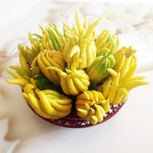 清供把玩 佛手柑 金华佛手自然黄果香橼 观赏水培插花 水养型