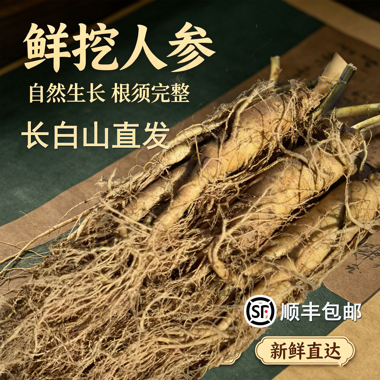 长白山鲜人参新鲜长白山人参特大500g带土人参煲汤泡酒东北人参
