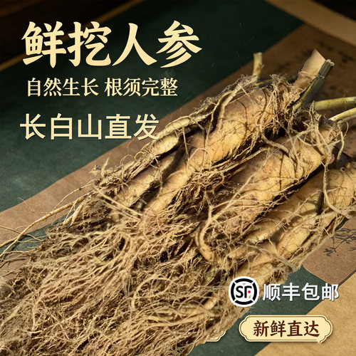 屹珍林人参长白山泡酒煲汤