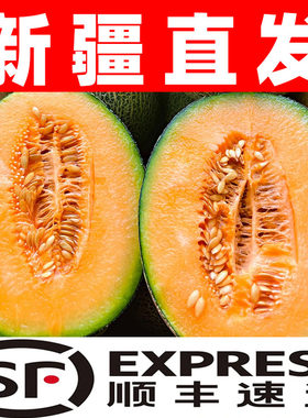 新疆吐鲁番哈密瓜水果礼盒装