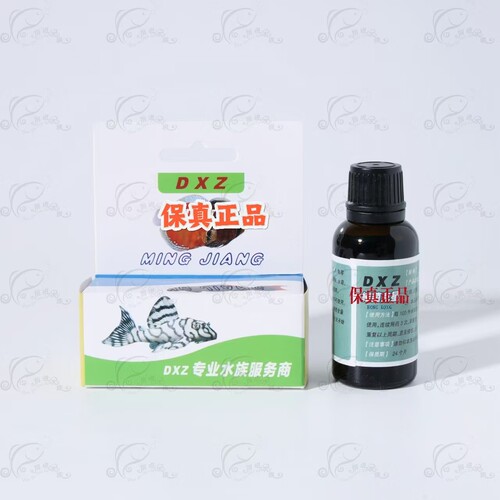dxz异形鼠鱼灯科鱼七彩专用