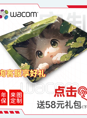 Wacom和冠CTL-6100WL 蓝牙 手绘板 手写板 写字板 绘画板 绘图板