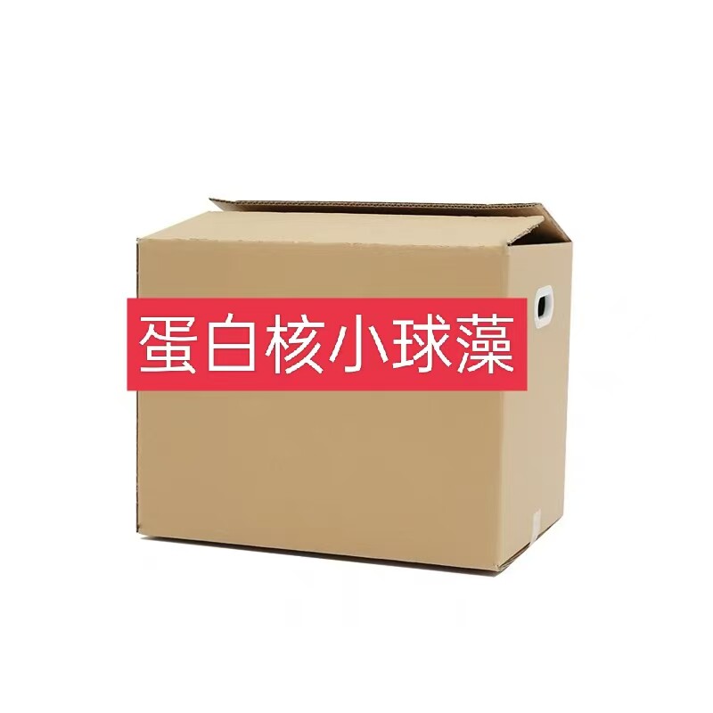 美丽商务港汉瑞宝蛋白核小球藻一盒子