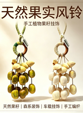 天然手工植物果实风铃果壳摇铃自然乐器音疗民宿墙面车载挂饰批发
