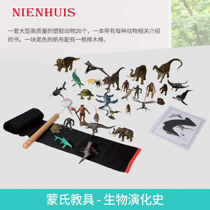 生物演化史之时间轴动物和图册进口nienhuis蒙氏教具幼儿早教益智