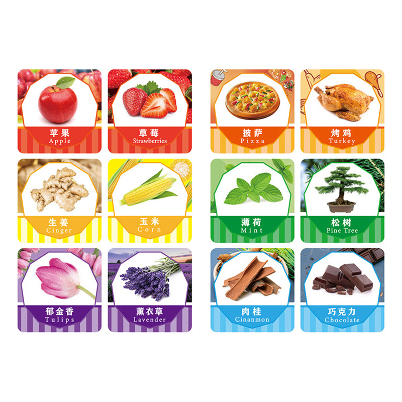 幼儿嗅觉套装（12件/套）儿童感觉统合科学探索嗅觉训练板教具