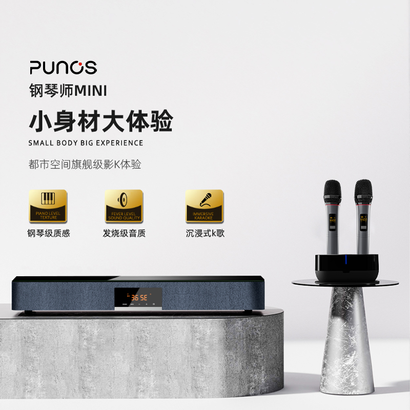 punos高端系列钢琴师ps-36mini家庭KTV音响套装卡拉ok家庭影院