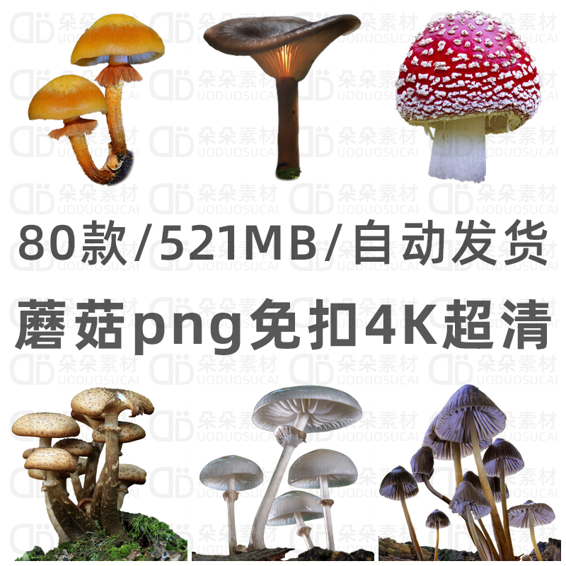 蘑菇免扣png4K超高清ps素材透明背景野生菌菇CG场景原画插画参照