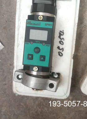 原装正品Type:SPWO 250 SP1价格详谈