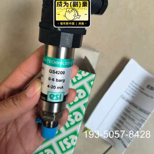 议价ESI GS4200压力变送器，量程0-6 bar，输出详谈