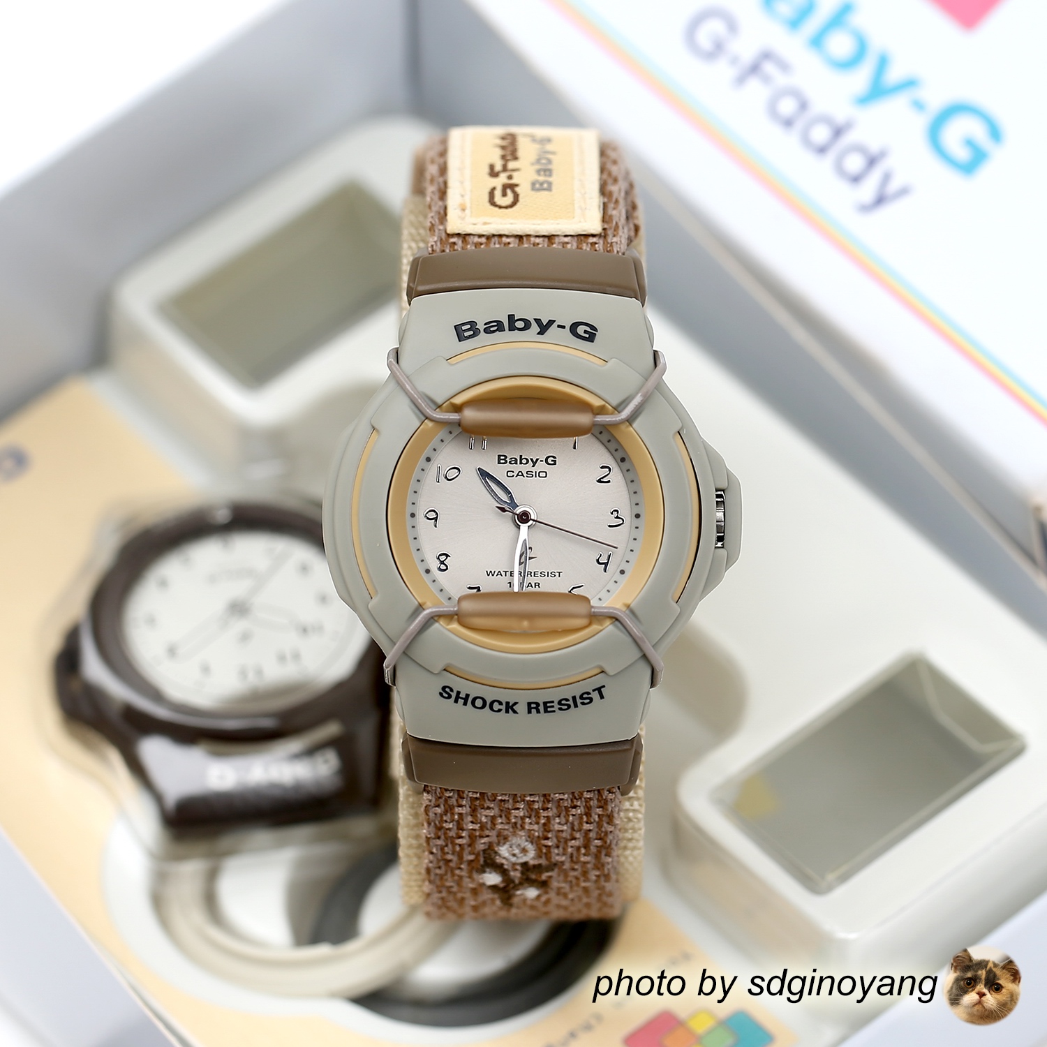 CASIO卡西欧Baby-G BG-31V-5BJR G-Faddy女款可换颜色壳全新现货