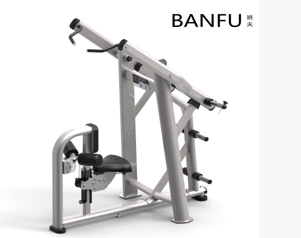班夫 高端高拉背肌训练器专业健身房企事业单位训练器 PL3202