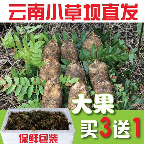 【买3送1】新鲜天麻云南昭通小草坝非野生天麻500克大果4-5个1斤 - 封面