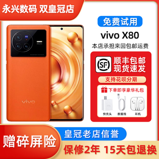 蔡司光学拍照 天玑9000旗舰芯 80瓦超级快充5G智能手机 x80 vivo