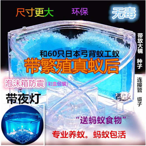 蚂蚁工坊蚁后繁殖蚂蚁城堡玩具