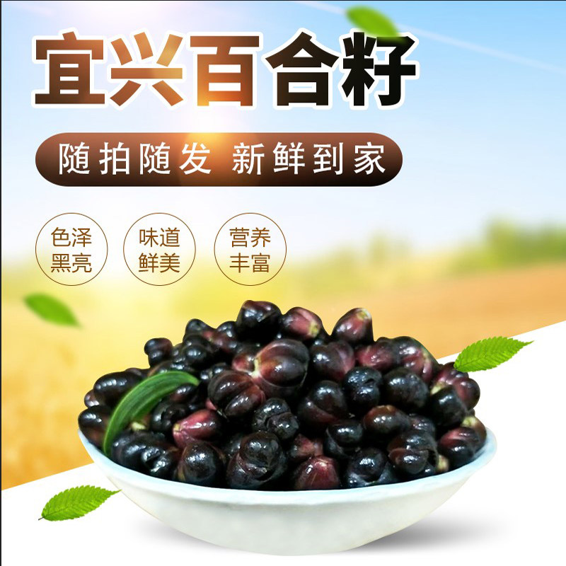 食用宜兴百合籽软糯好吃图片