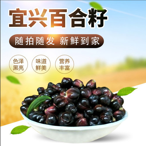 食用宜兴百合籽软糯好吃