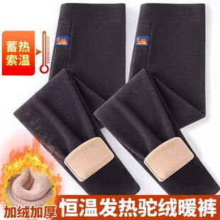 男士秋冬季加绒加厚保暖裤男中年高腰驼绒秋裤防寒打底裤棉裤大码