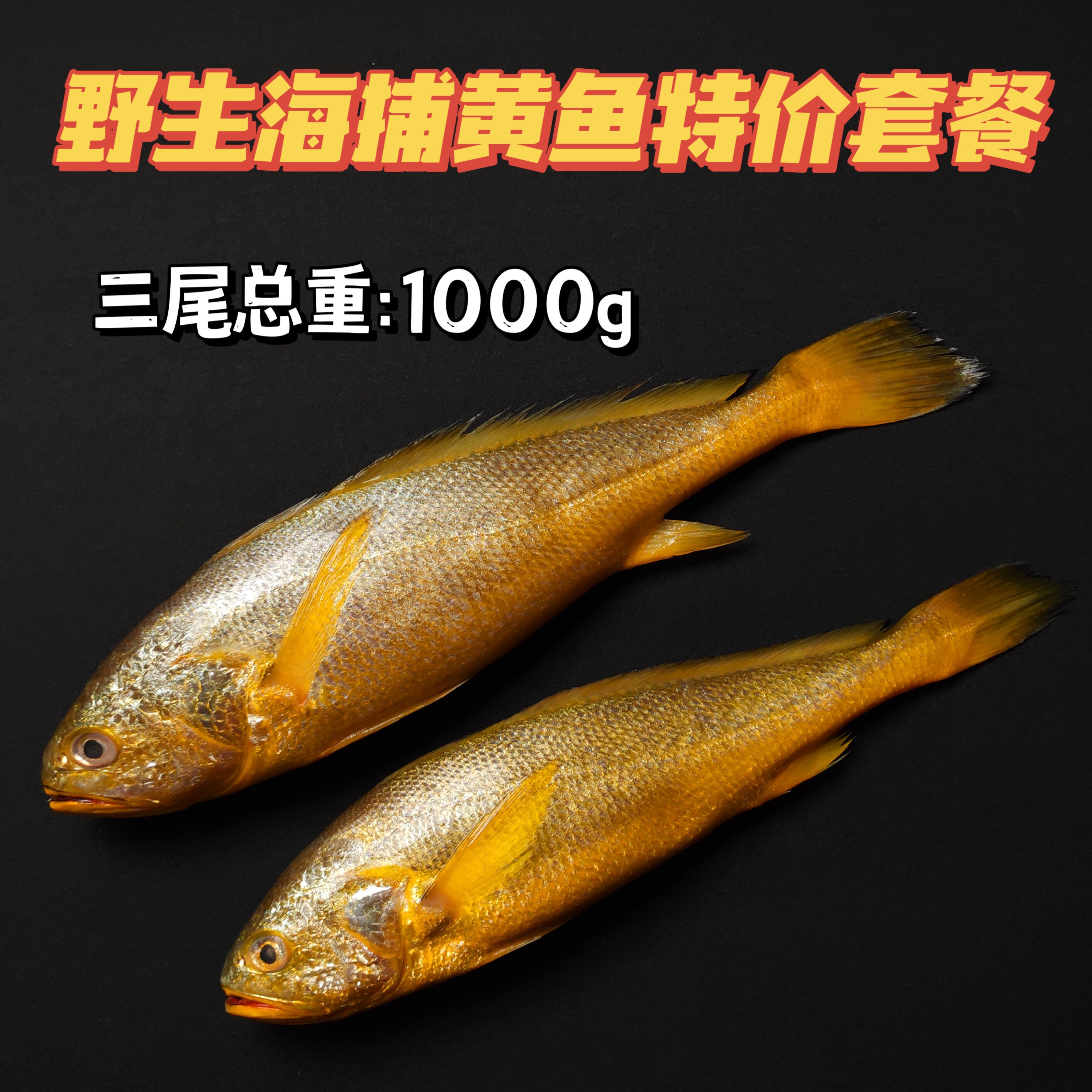 硬家肉铺 特价 纯野生天然海捕大黄鱼 口感鲜嫩 色泽喜庆 年货佳