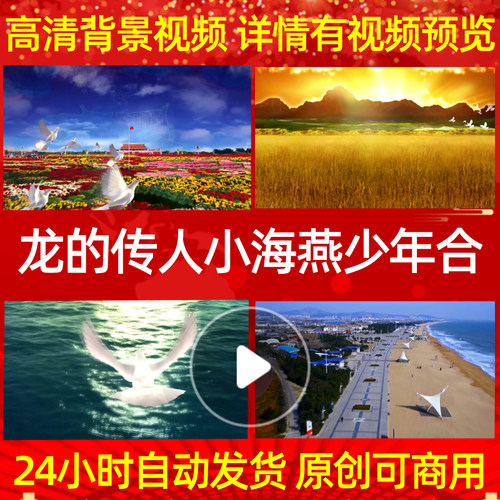 L955龙的传人小海燕少年合唱团成品配乐背景视频特效MVled动态视