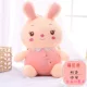 Plum Bunny [Pink] сидит 60 см в середине