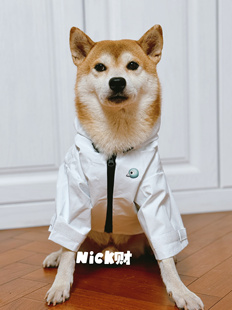 Nick财 宠物潮牌防水防风定制狗狗连帽外套冲锋衣柴犬雨衣中大型