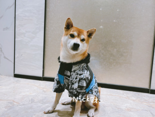 Nick财柴犬柯基法斗潮牌防风防水小狗衣服保暖冲锋衣狗狗宠物雨衣