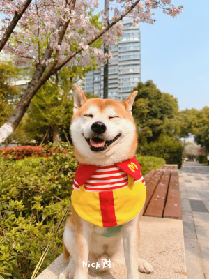 麦当劳叔叔围兜口水巾