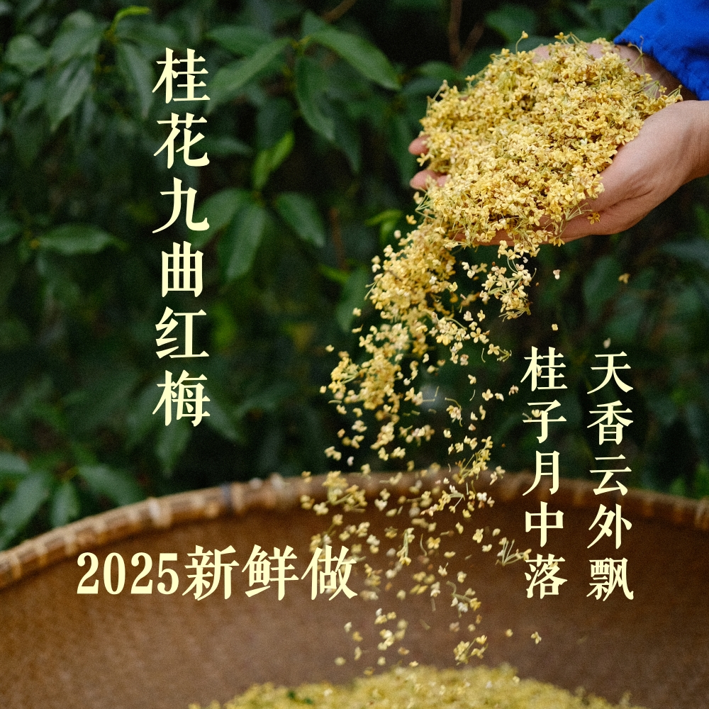 手工摘花桂花九曲无硫无香精