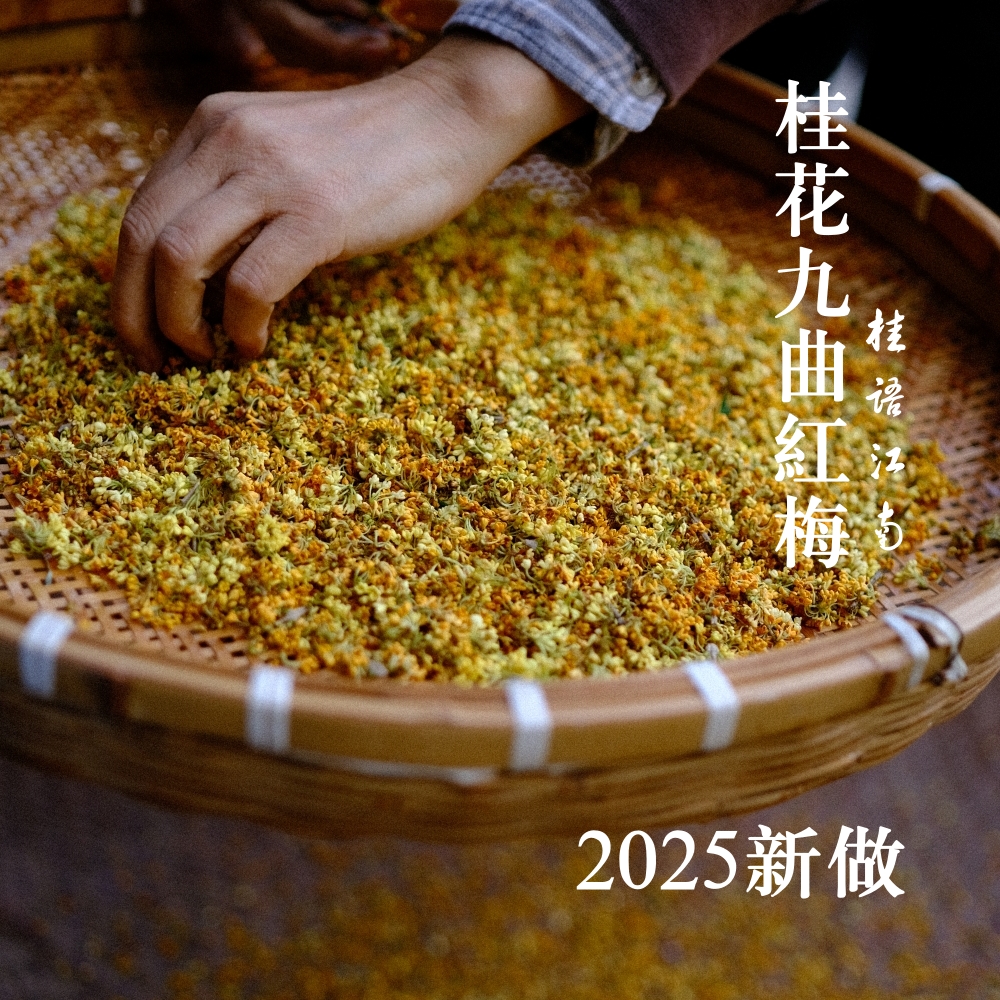 金桂桂花九曲红梅手工摘花