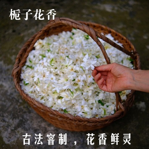 栀香九曲栀子花香红茶手工窨制