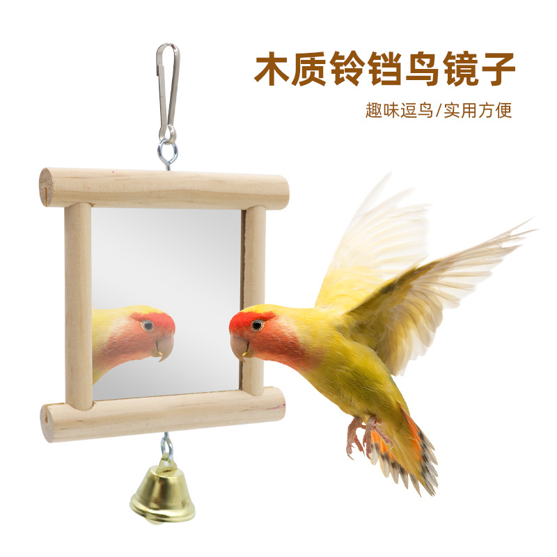 鸟镜子站台玩具用品套装阳台