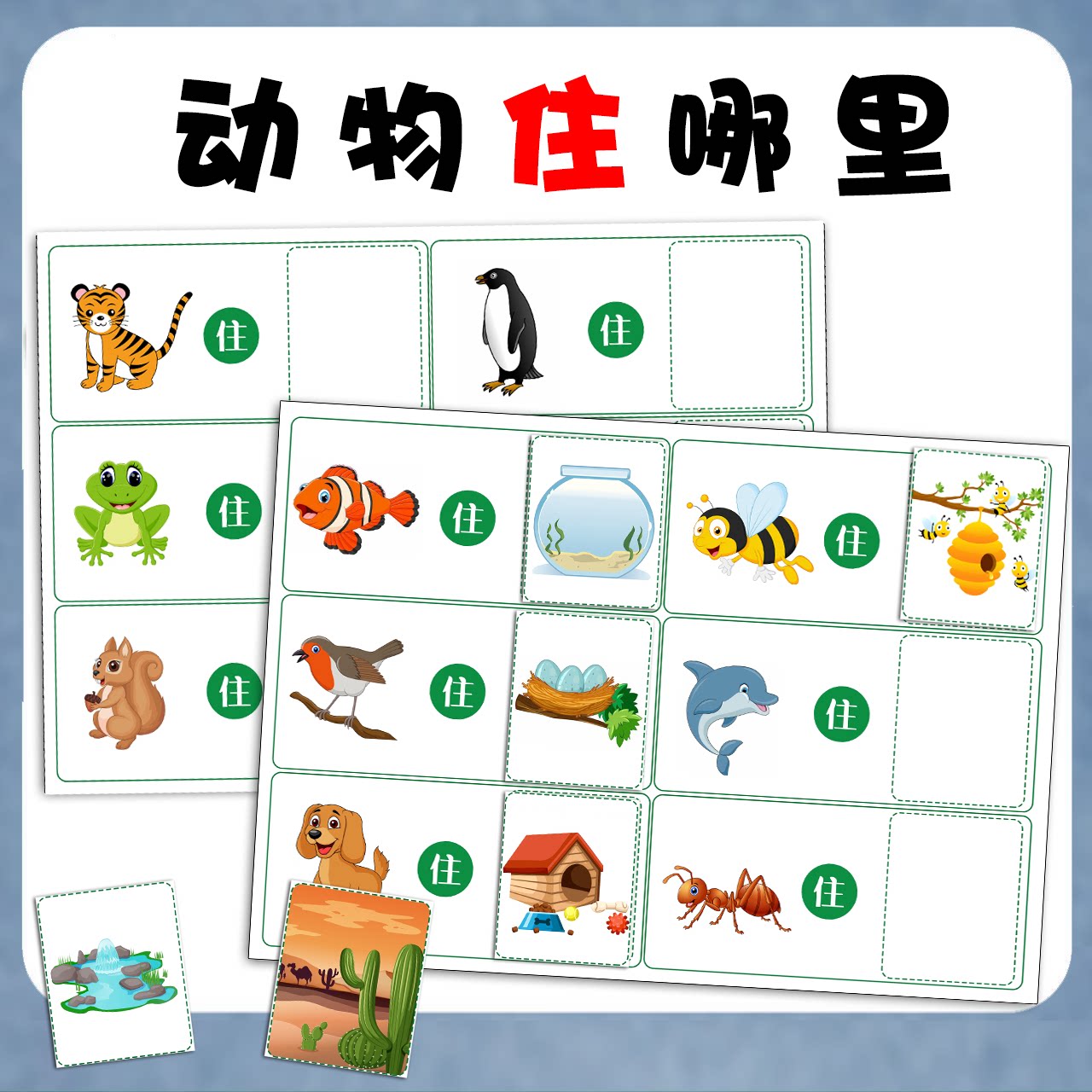 动物住哪里益智卡片幼儿园小中班启蒙认知语言自闭症发育迟缓训练