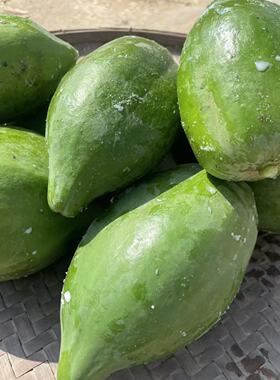 青木瓜广西新鲜产妇哺乳下奶泰式凉拌蔬菜水果农家绿色番木瓜整箱