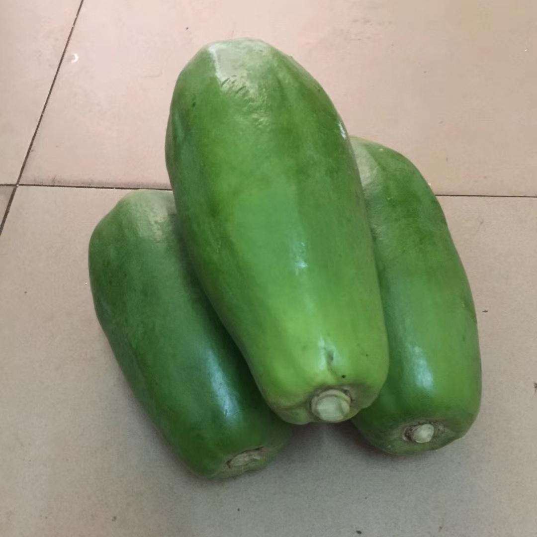 青木瓜广西新鲜产妇哺乳沙拉凉拌做酸蔬菜水果现摘现发番木瓜整箱