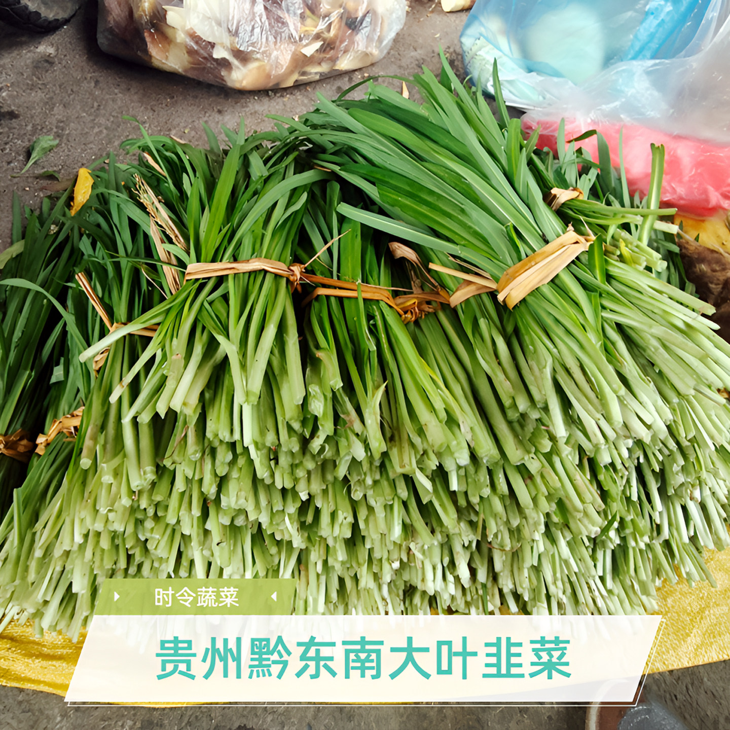 黔东南新鲜大叶韭菜特产包邮