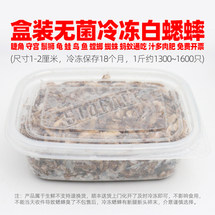 无菌盒装鲜活冷冻白蟋蟀蛐蛐黑蟋蟀油葫芦蛙龟鸟鱼睫角守宫鬃狮粮
