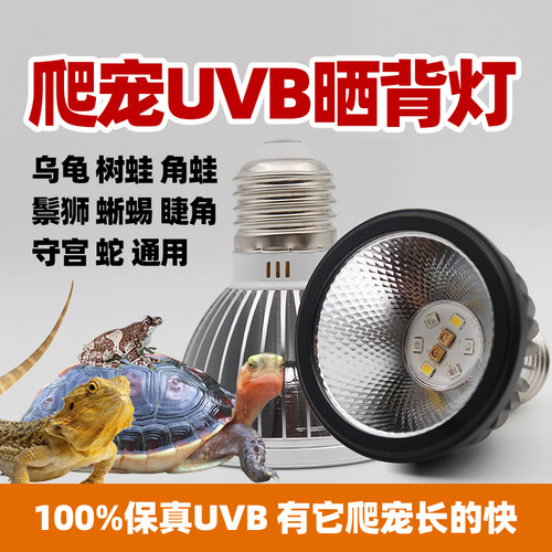 爬宠全光谱uvb灯蛇蛙龟鬃狮晒背