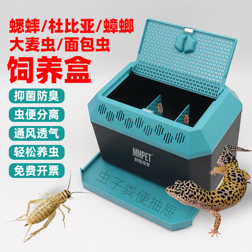 专业昆虫抑菌除臭虫便分离饲养盒
